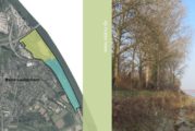 Naherholung am Rheinufer? oder: Warum ist es am Rhein so schön?