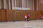 Jugendfußball-Hallenturnier des FSV Alemannia 1911 Mainz-Laubenheim e.V.