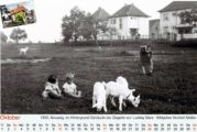 Bild-Kalender Alt-Laubenheim Oktober 2021