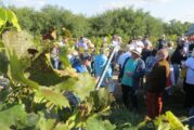 24. September 2023 - Weinwanderung 1250 Jahre