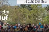 Rekord: 800 Läufer beim 16. Laubenheimer Polderlauf