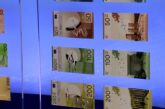 Laubenheimer Storch bald auf Euro-Scheinen?