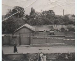 Blick von der Volksschule (heute Wilhelm-Spies-Haus) in die Möhnstraße um 1950, dort später Weinrestaurant Schmitt Bildgeber: Joachim und Michael Horber