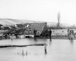 Rheintalstraße, Blick auf Gärtnerei in Tuchbleiche, Hochwasserkatastrophe 1882. Bildgeber: Stadtarchiv Mainz