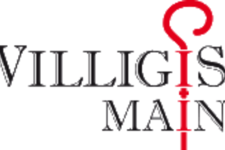 Gymnasium und Realschule Willigis Mainz