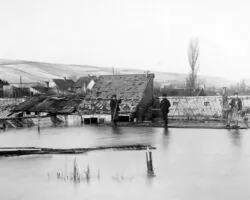 Rheintalstraße, Blick auf Gärtnerei in Tuchbleiche, Hochwasserkatastrophe 1882. Bildgeber: Stadtarchiv Mainz